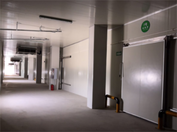 建造200噸的肉類冷鏈冷凍庫如何做好規劃設計？
