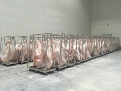 做一個(gè)牛肉冷庫造價(jià)表，生鮮冷藏庫價(jià)格