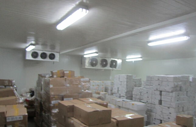 -18~-25℃冷凍榴蓮肉冷庫(kù)設(shè)備,冷庫(kù)造價(jià)及耗電量多少/天