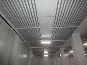 -35℃速凍榴蓮冷庫造價，榴蓮冷庫冷凍設備