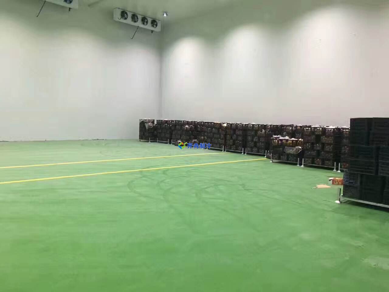 1000平蒜薹冷庫價格，蒜薹保鮮庫耗電量計算