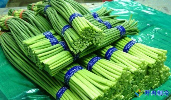 3000噸蒜薹冷庫(kù)前期規(guī)劃，冷庫(kù)造價(jià)預(yù)算多少錢(qián)