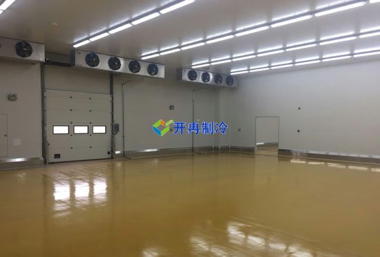 上海建造1000平米啤酒冷庫（冷藏庫）建設(shè)預算多少錢