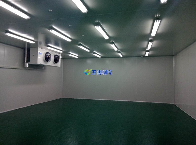 100m3血液冷庫溫度一般多少度，醫(yī)療冷庫報價  冷庫內景圖片 